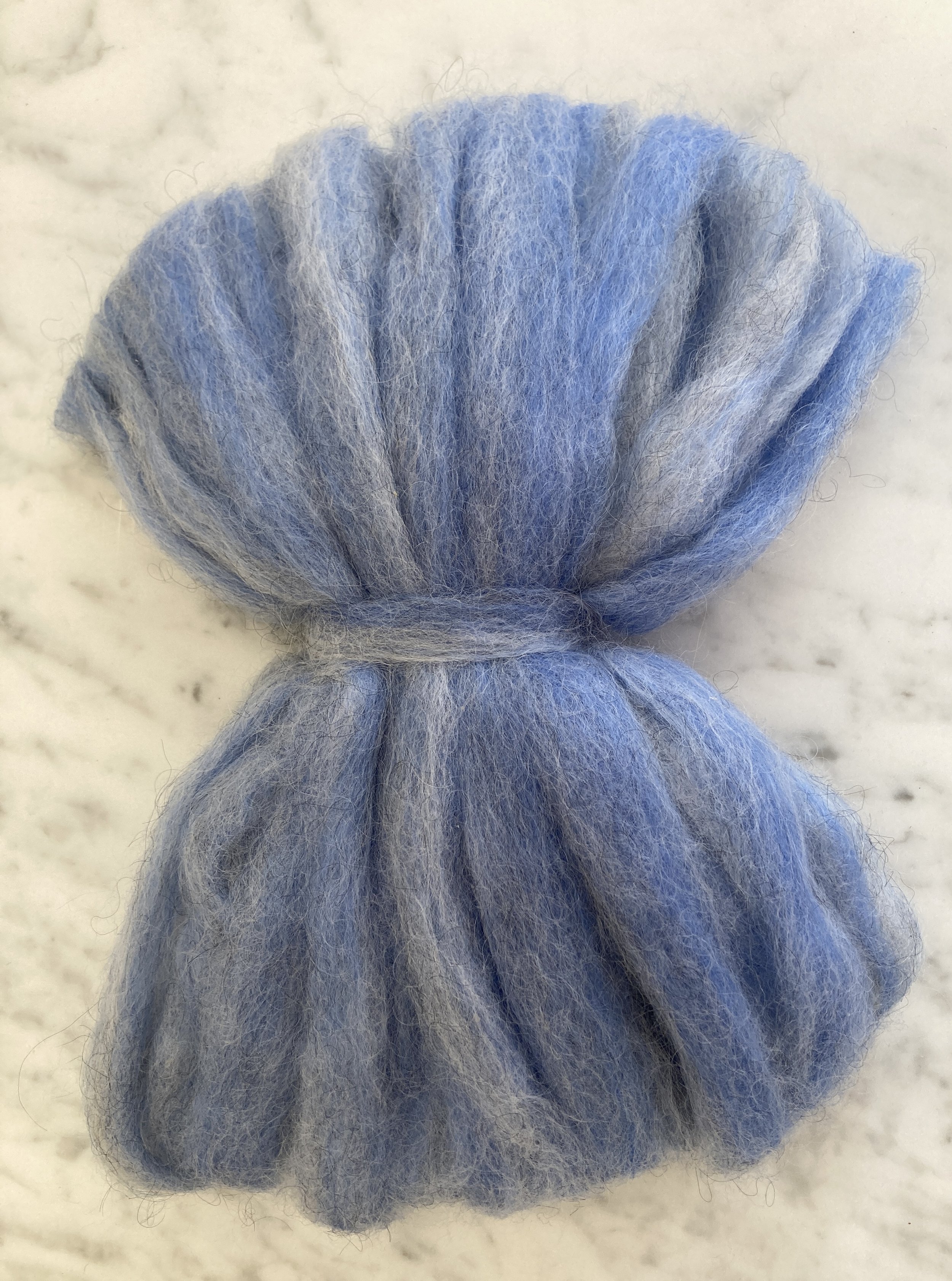 IMG_4584Periwinkle.v3.jpg