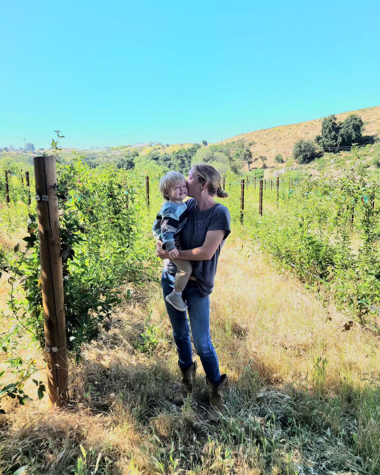 Happy Mothers Day to all the Mamas out there!🌸

We hope you all feel loved &amp; adored on this beautiful day❤️ 

#theblackberryfields #blackberries #temeculaupickfarm #temeculawinecountry