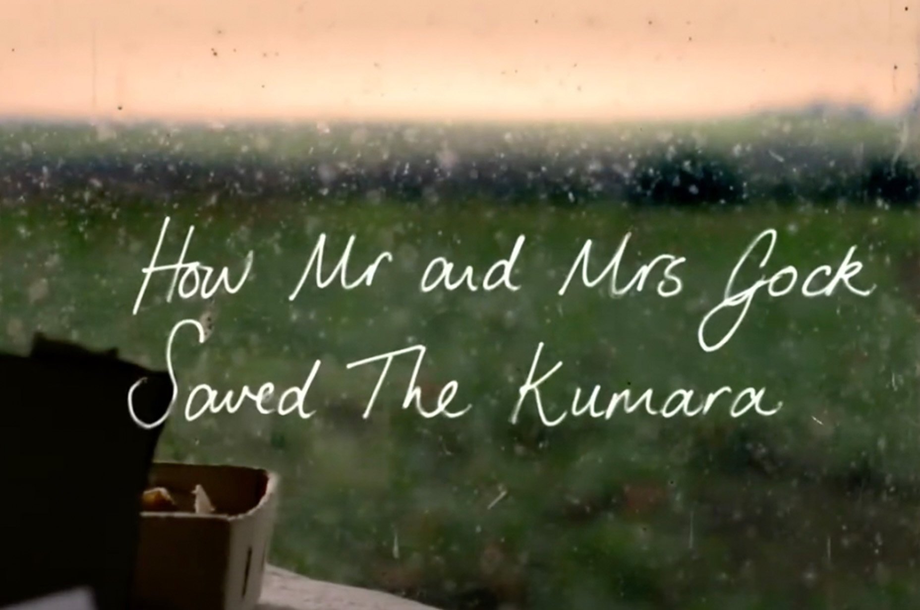 How Mr and Mrs Gock Saved the Kumara
