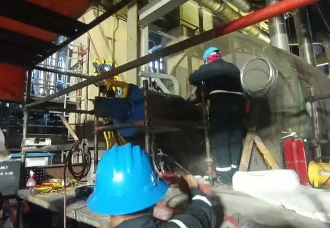 secado dryout tratamiento termico