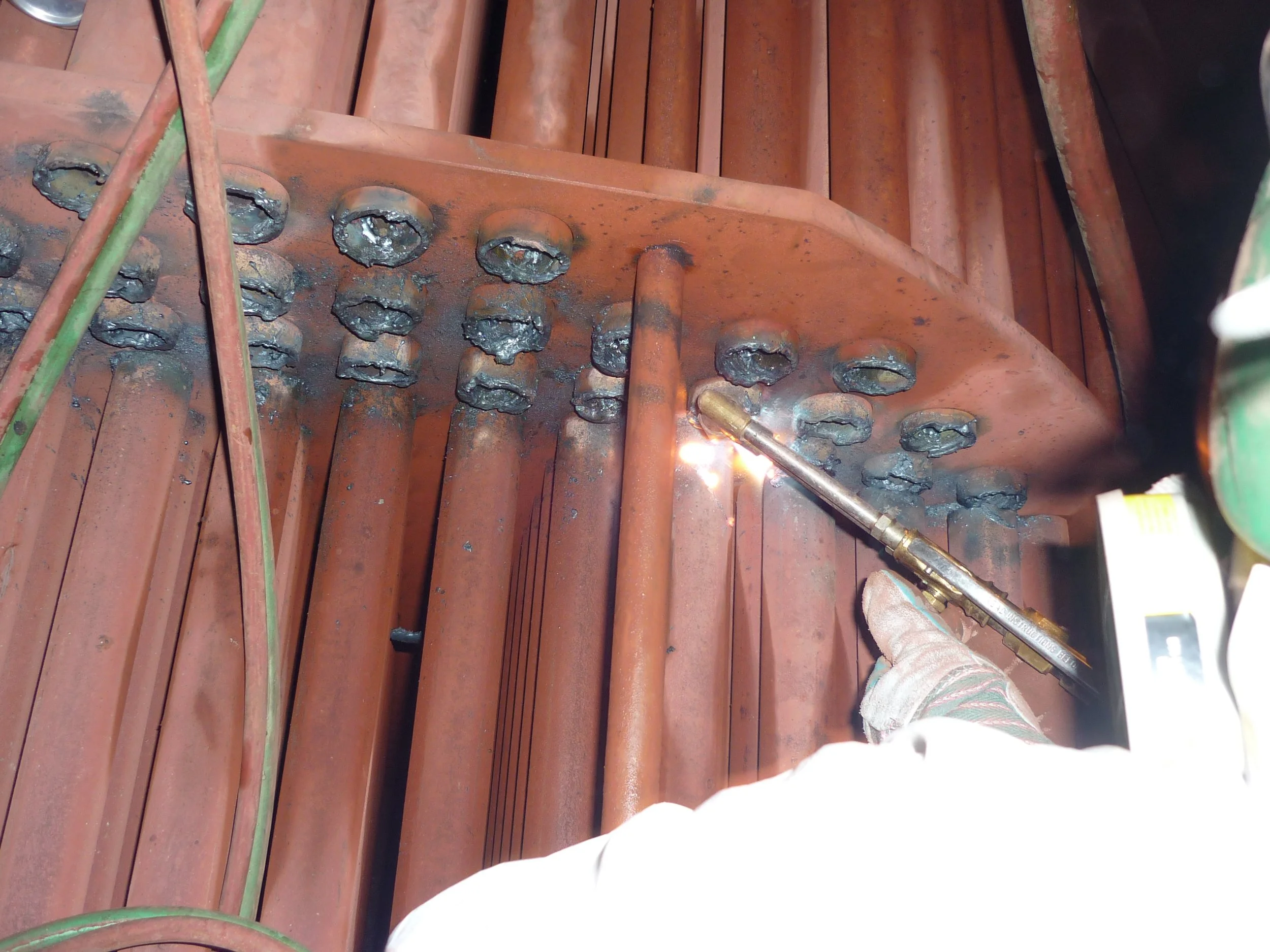 francisco escalante 1702.JPG