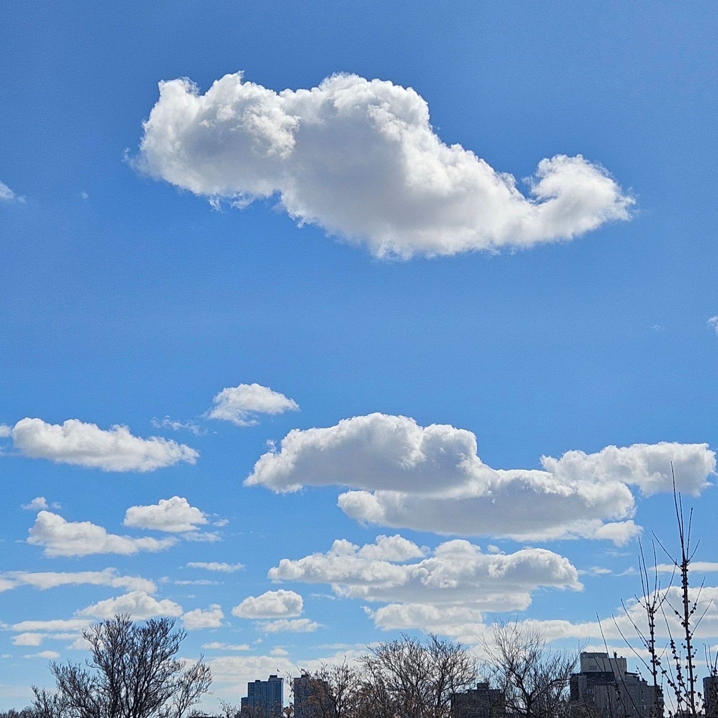 Cloud cat 
#clouds