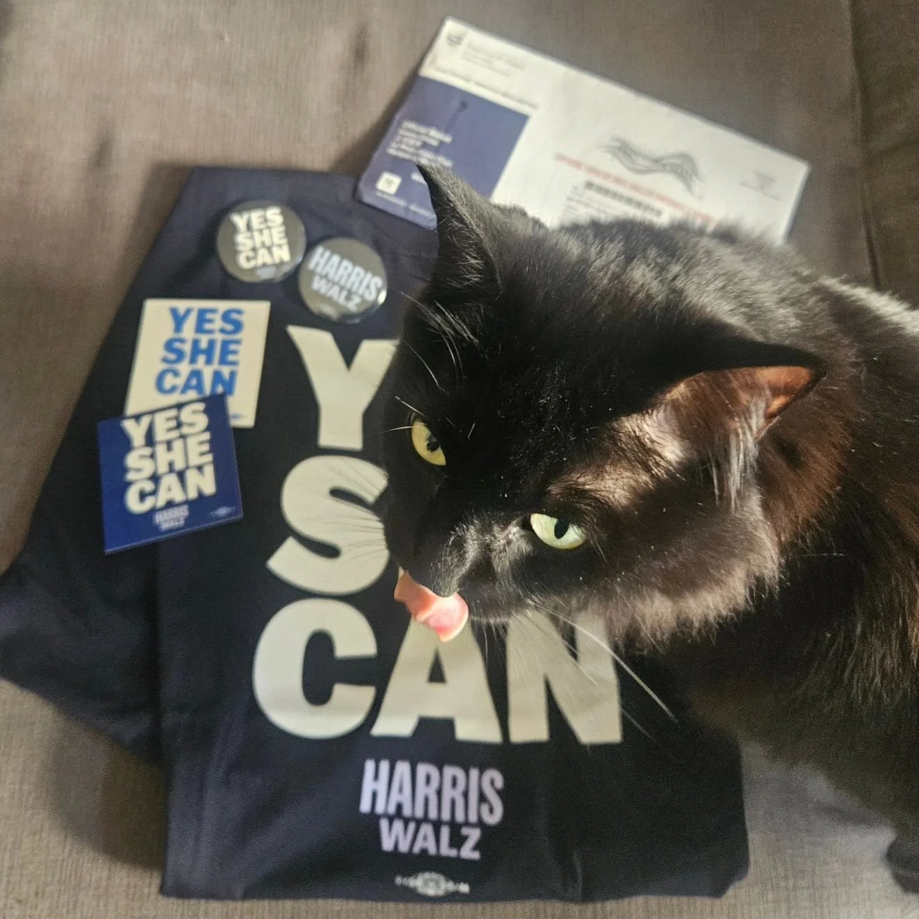I got all the good goodies today!! Inspected and approved by Lynx and Lyra. 

#childlesscatlady #votingearly #vote #kamalaforpresident #harriswalz2024 @kamalaharris @kamalahq @vp @timwalz