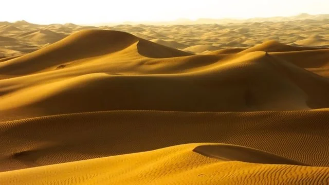 Sensuous Sand