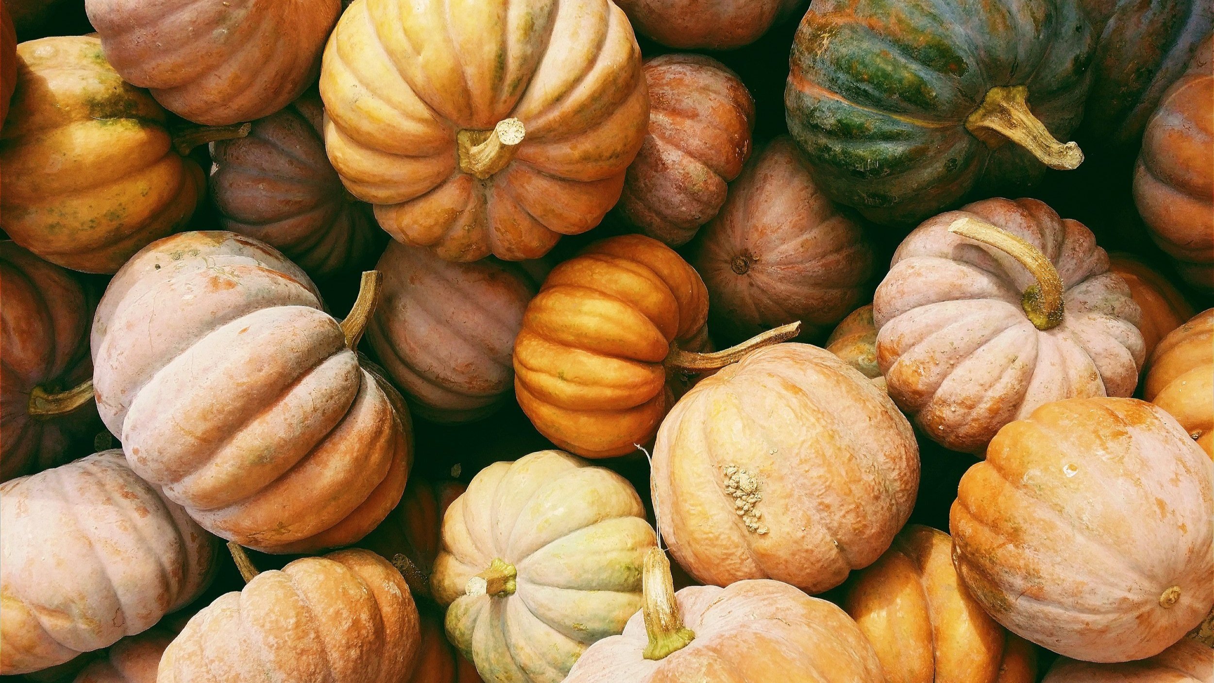 Hello October! Six Ways to Live Seasonally in This Month