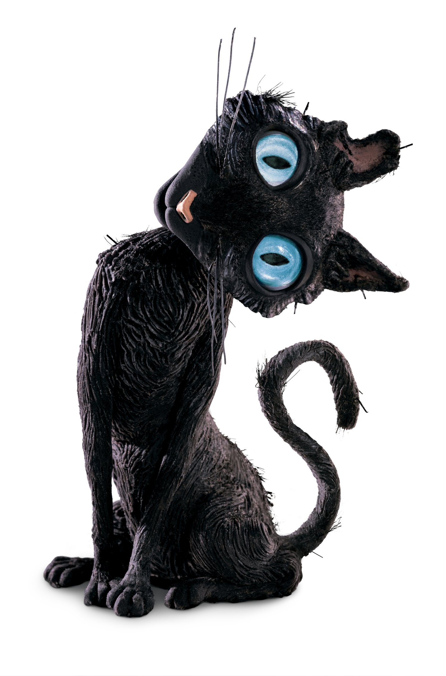 Coraline's Curious Cat Trail