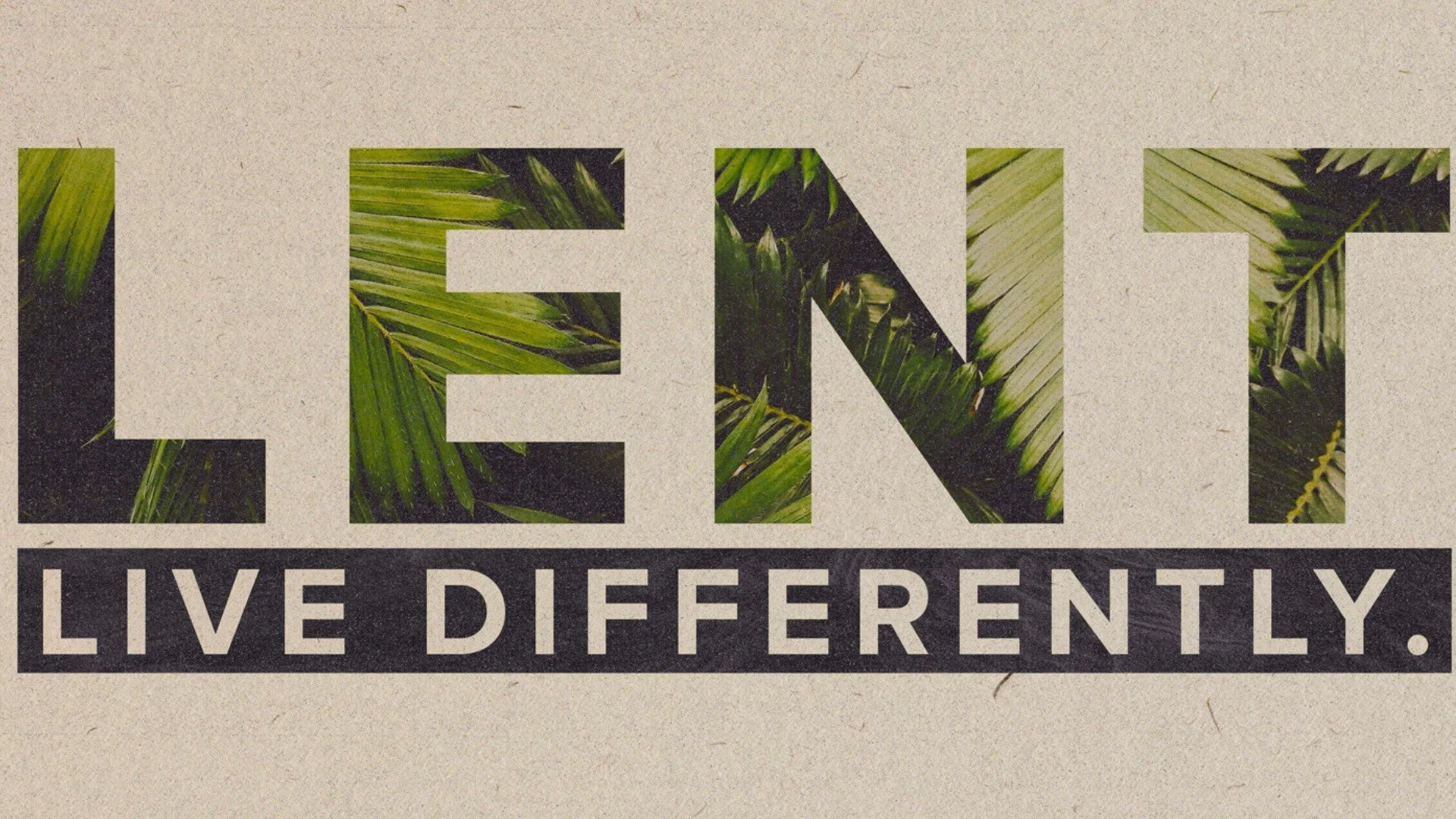&ldquo;Let all that you do be done in love.&rdquo; &mdash; 1 Corinthians 16:14

Every word, every act, every decision &mdash; may it all be rooted in love. When love leads, peace follows. 🌸

#Lent2026 #LiveDifferently #HarmonyChurch #Faith #DoEveryt