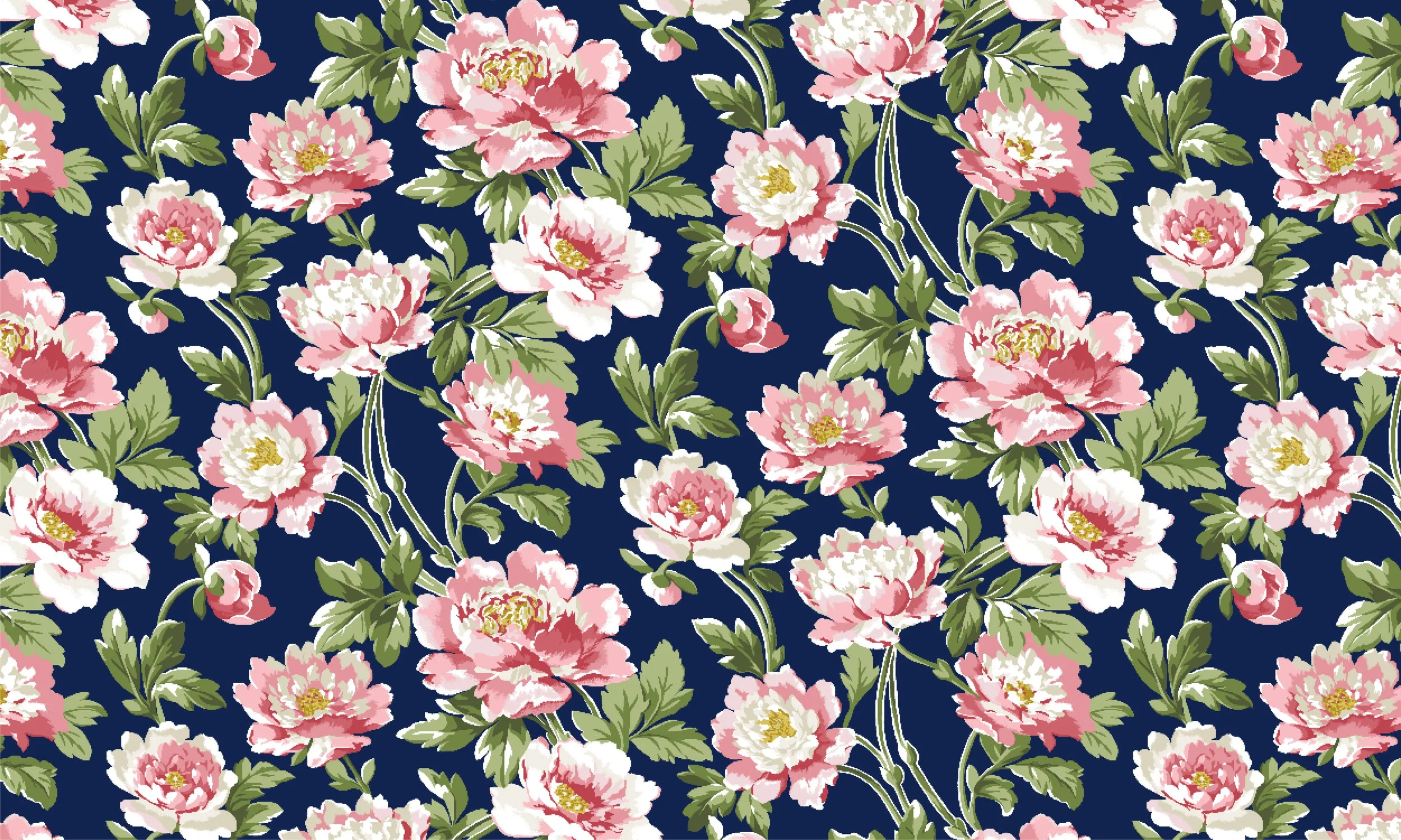 website images-03.jpg