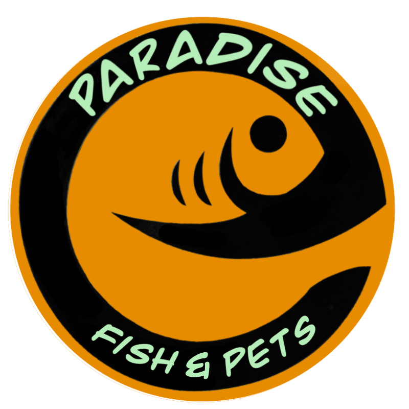 Paradise Fish and Pets