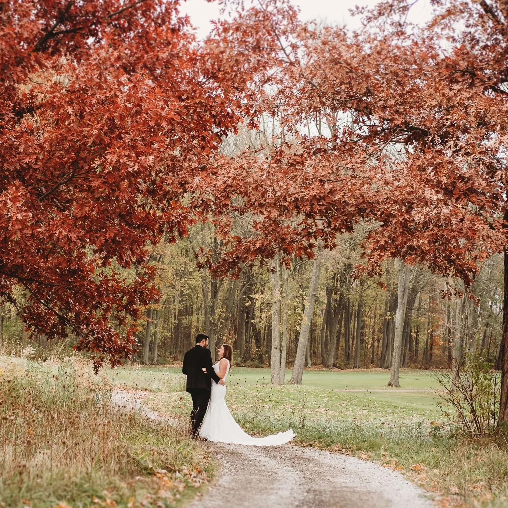 wedding couple dancing under a tree in the fall, wedding at Westhavens in London Ontario