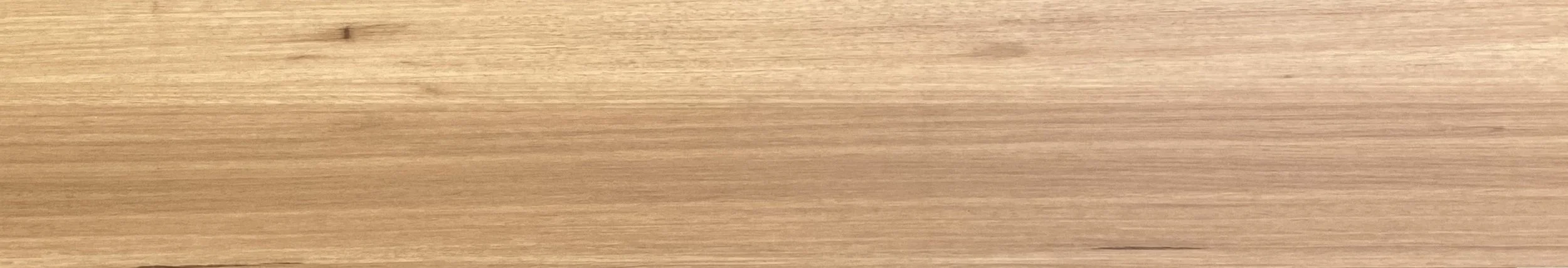 hybrid650-Harmony Blackbutt 6571OZ.jpg