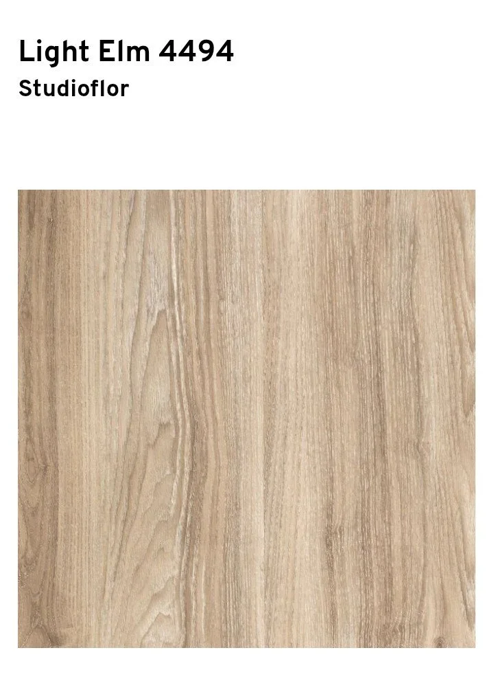 light elm 4494.jpeg