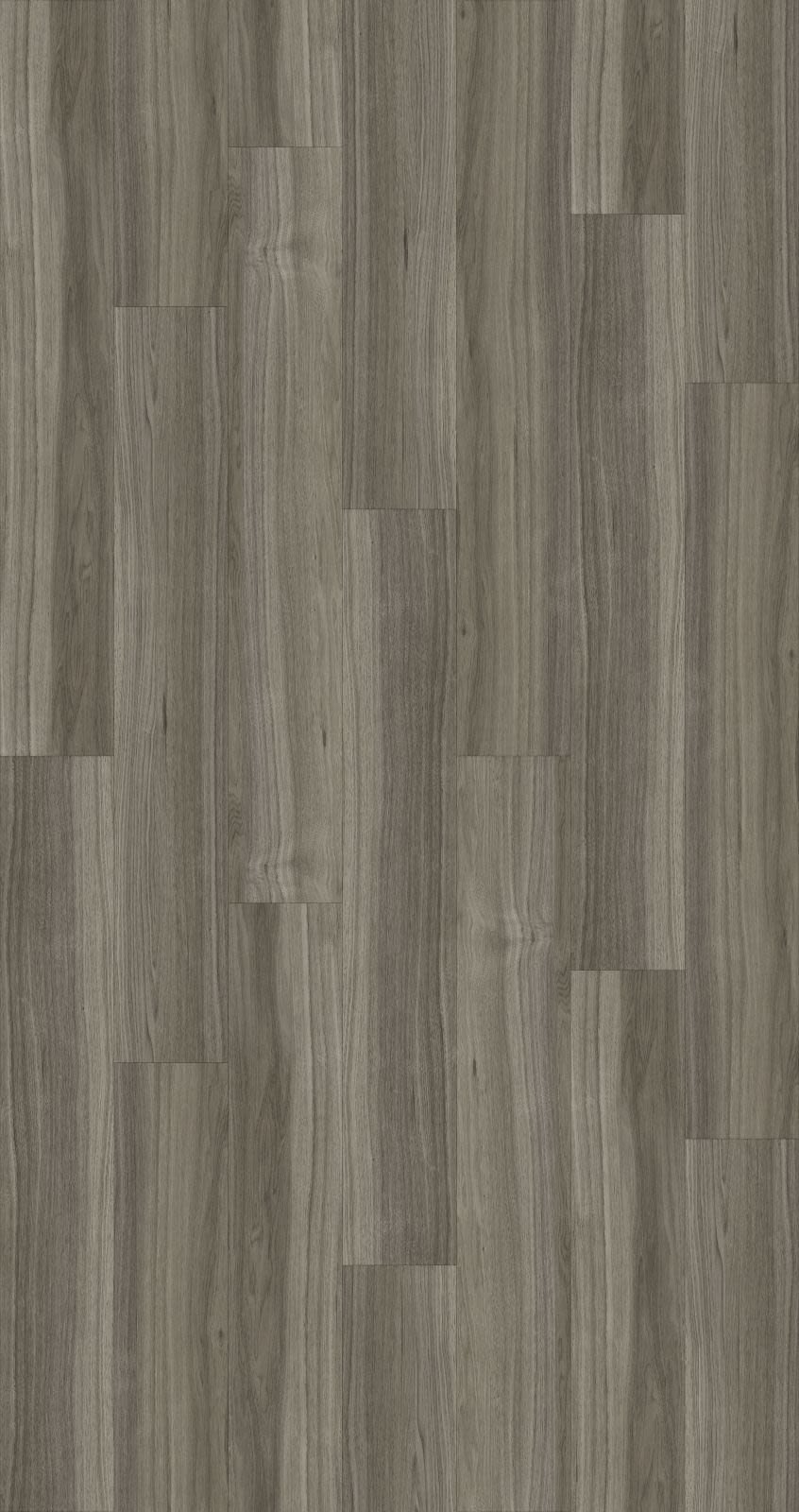 Inspired Qld_Silver_Ash_CP8610.jpg