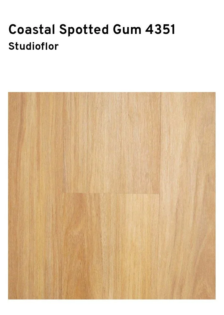 Coastal Spotted Gum 4351.jpeg