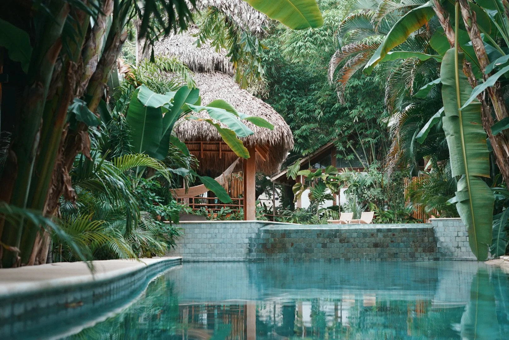 Blue Mist Hotel - Costa Rica