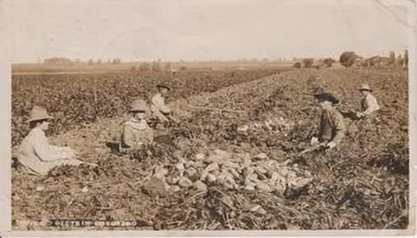 How Homesteaders Built Berthoud Colorado