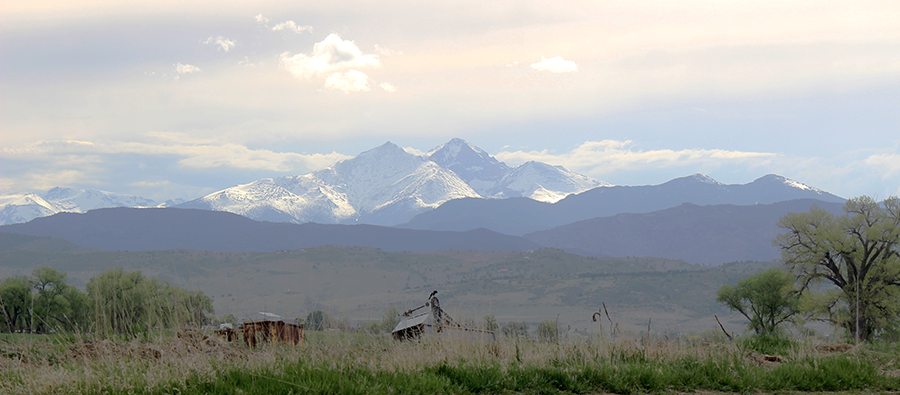  View from Harvest - Photo Christine Torres 