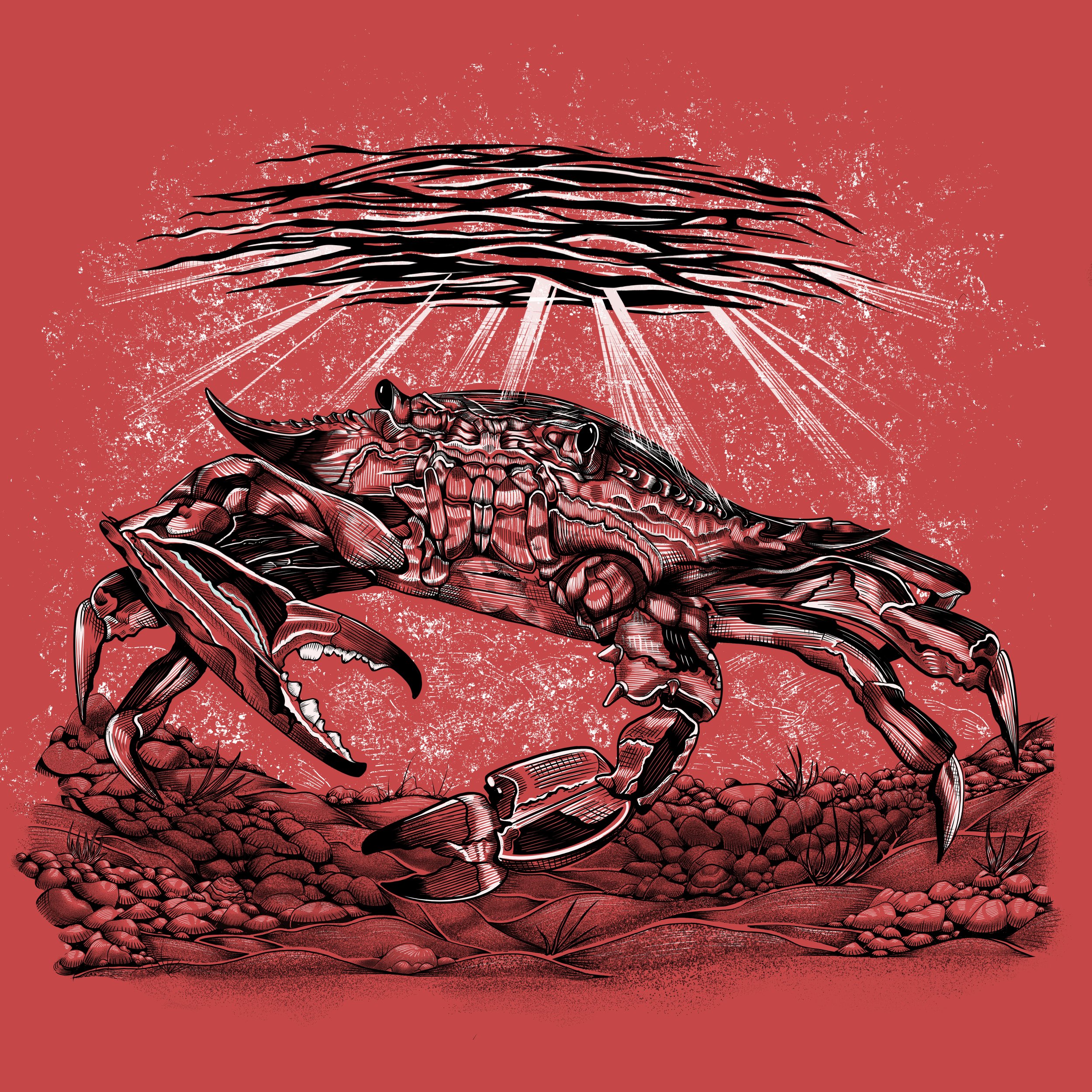 FINAL_CRAB.jpg