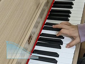 Longeye Piano Keyboard |
