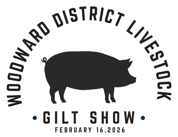 Woodward District Livestock Show: Gilt Show
