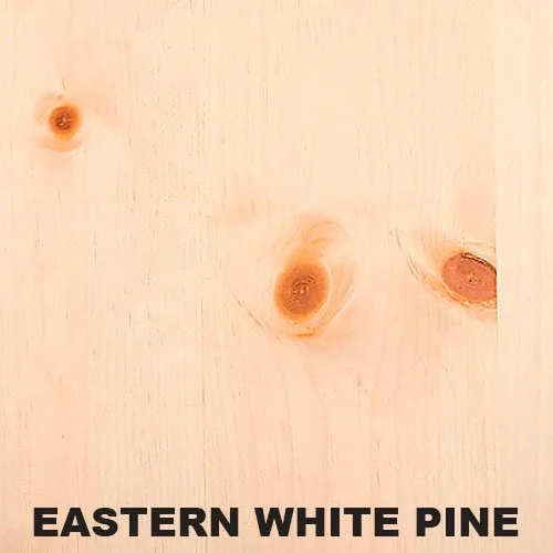 Eastern-White-Pine-LABELED.jpg