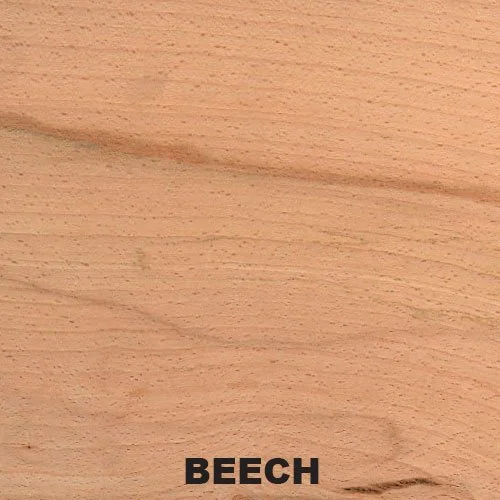 Beech-labeled.jpg