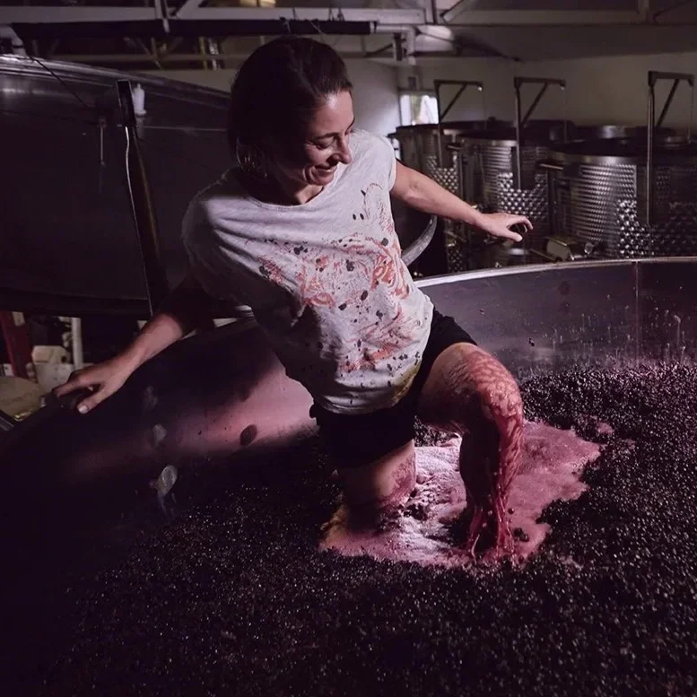 Susuro Wines