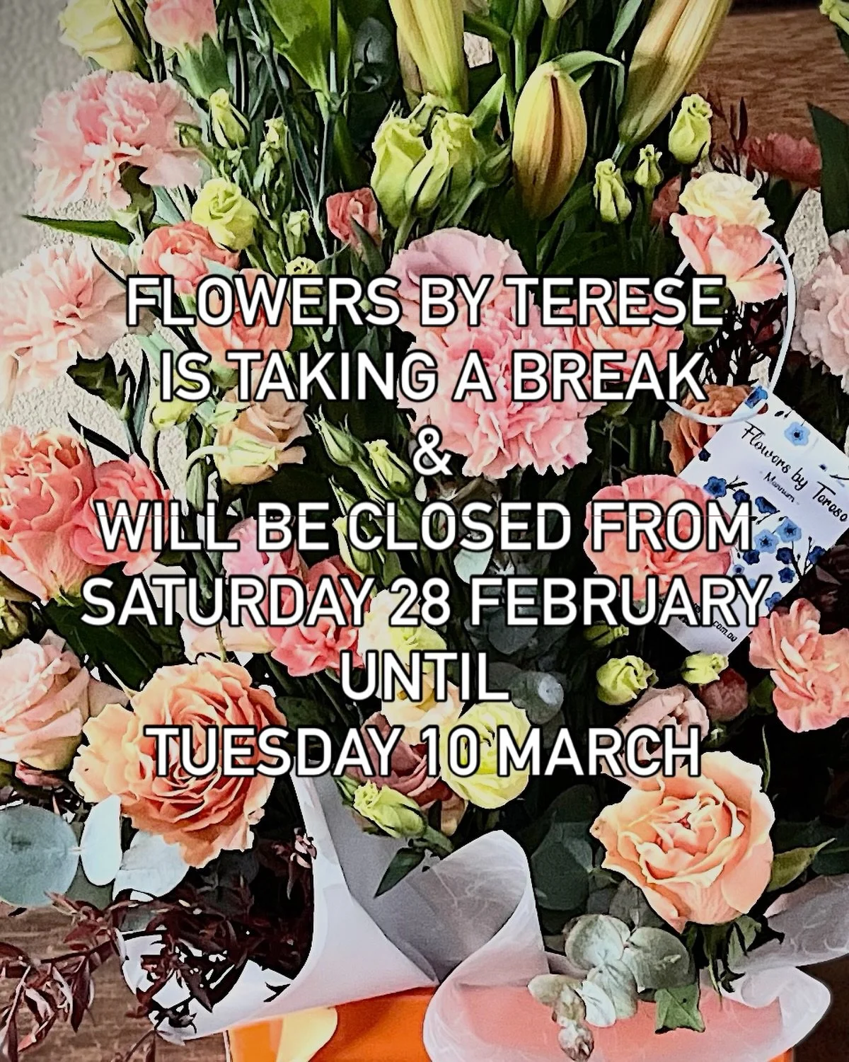 On my way for a working holiday! Super excited for a very special wedding event in Melbourne! Need flowers? Look up Mannum Mallee Flowers @kloses.supermarkets at Mannum Green stand will be fully stocked more than usual for the week 🌺