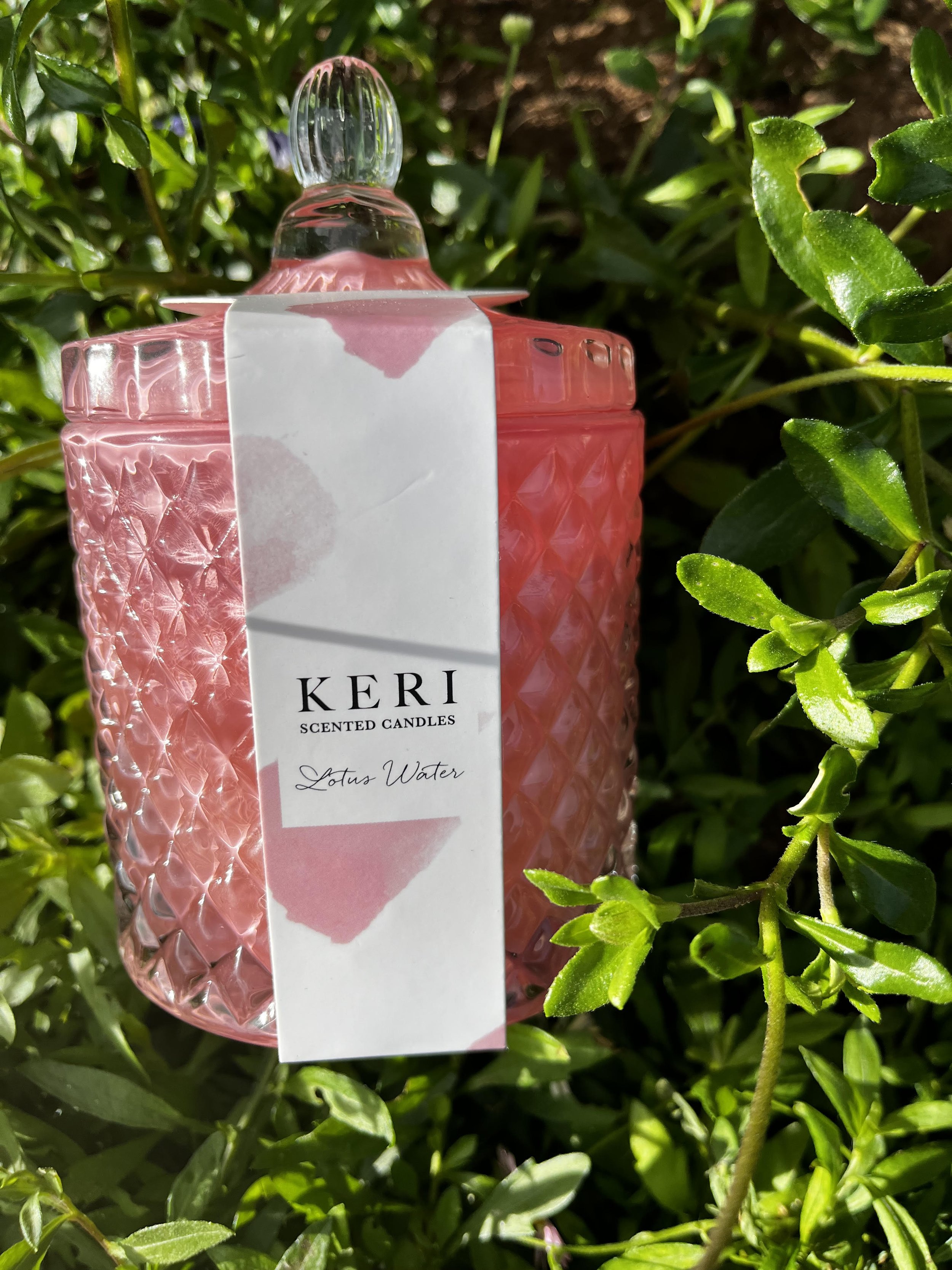 candle lotus water.jpg
