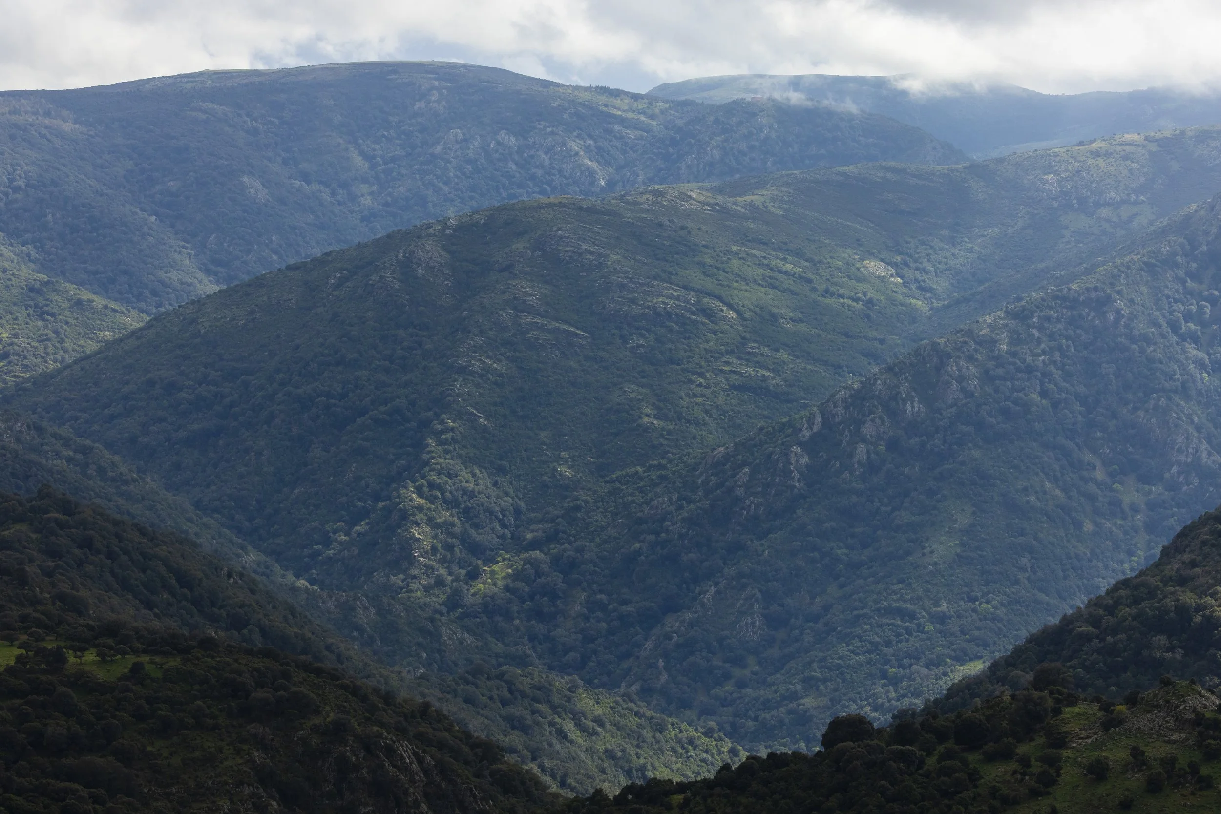 Gennargentu_April 2026_013.JPG