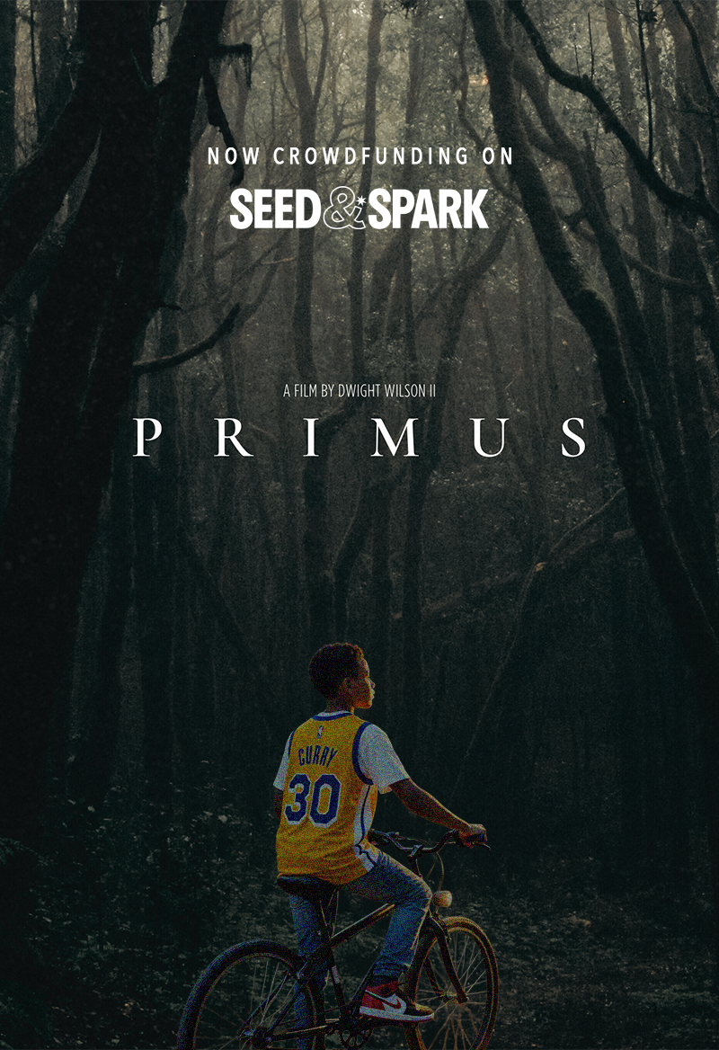Primus x Seed &amp; Spark