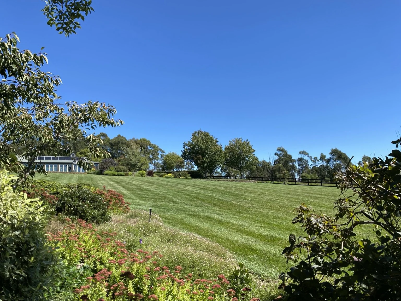 Striped acreage lawn and established garden beds at a Southern Highlands property