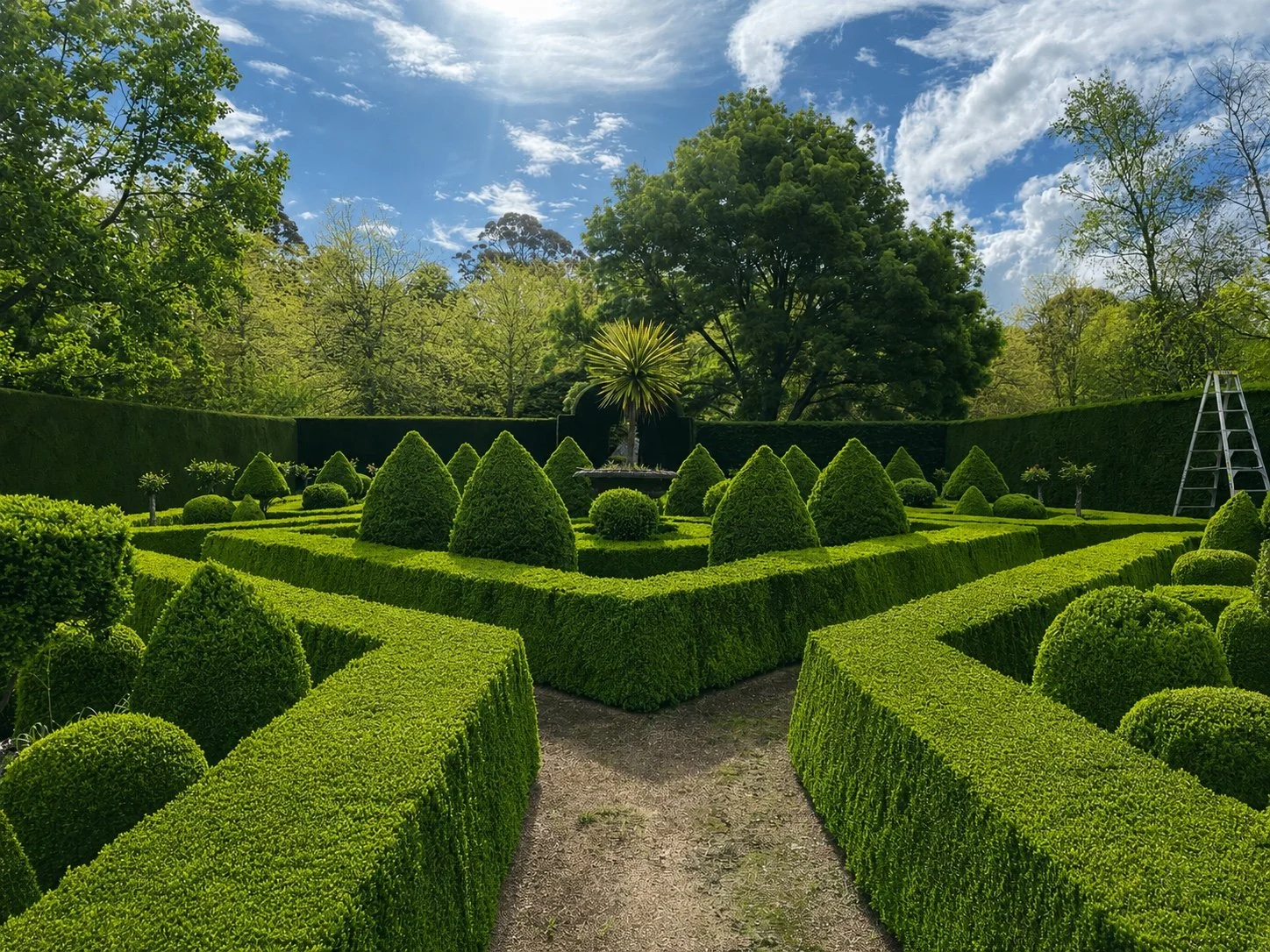 Precisely trimmed formal hedges and topiary in an established Southern Highlands garden