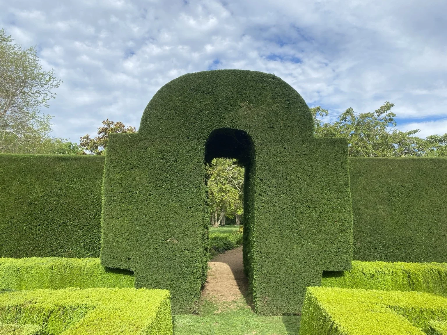 Precisely shaped hedge arch and formal topiary in a Southern Highlands garden