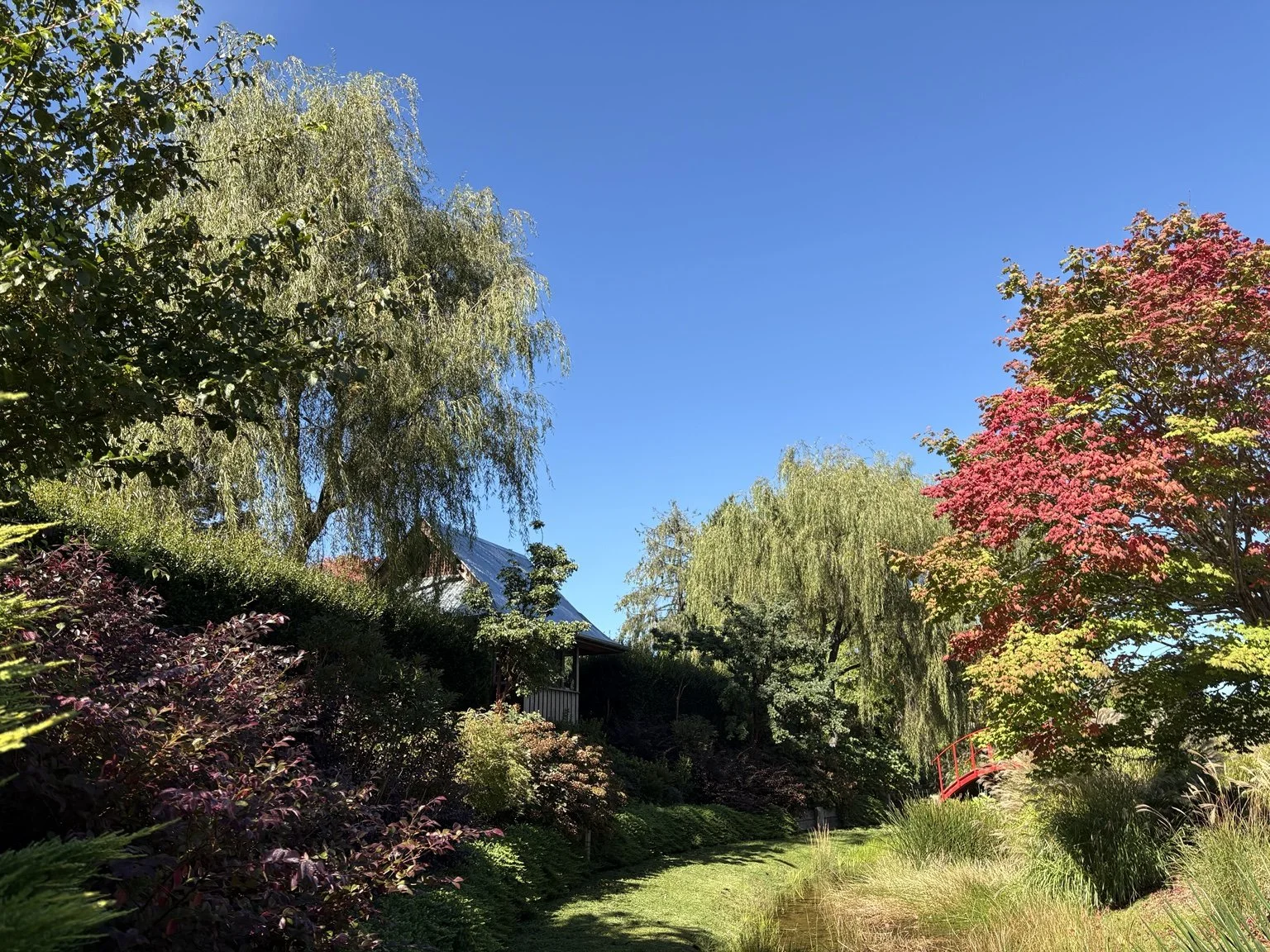 Established garden with layered planting and mature trees in the Southern Highlands