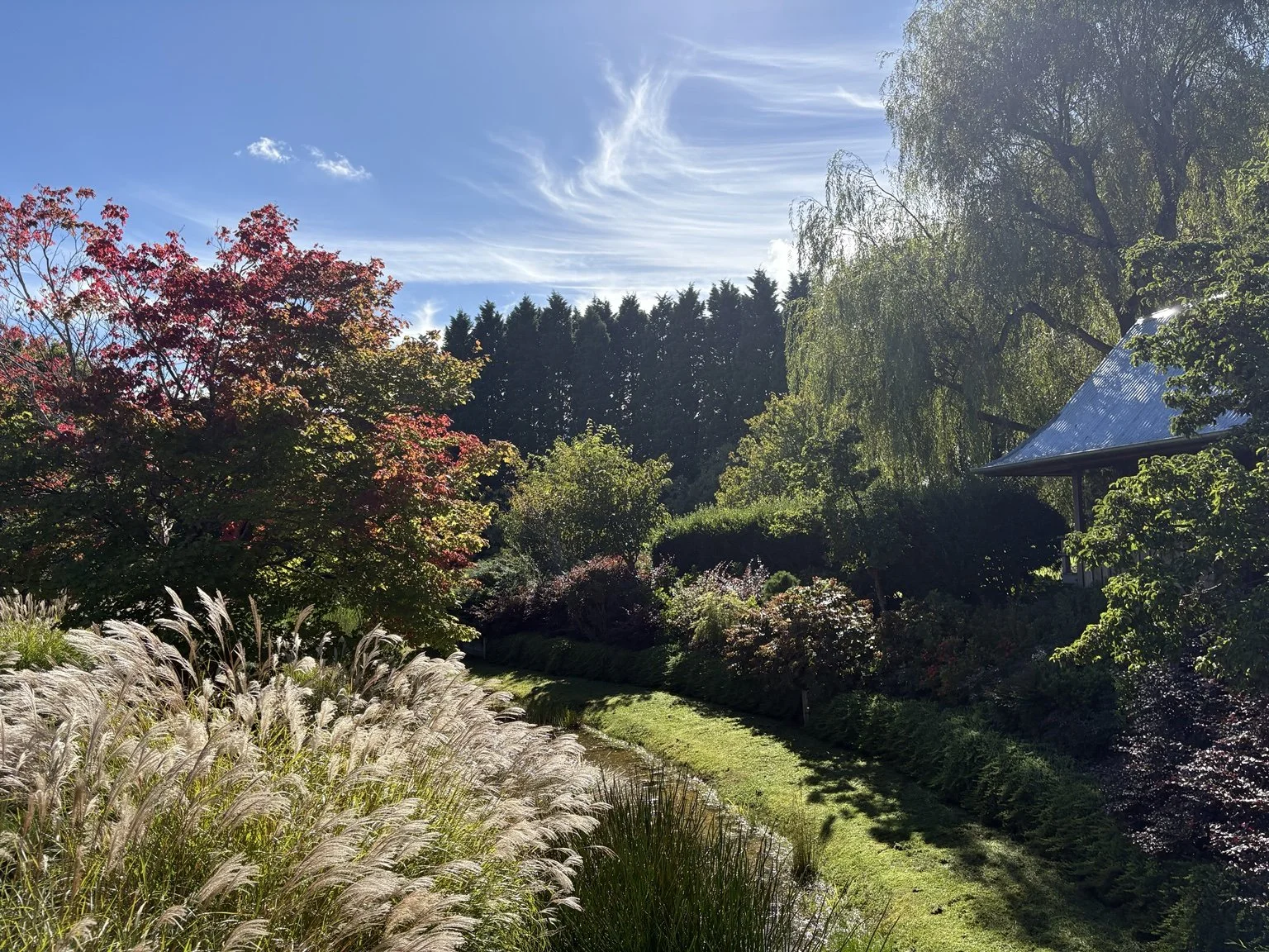 Established private garden with ornamental grasses, shrubs and a curving path in the Southern Highlands