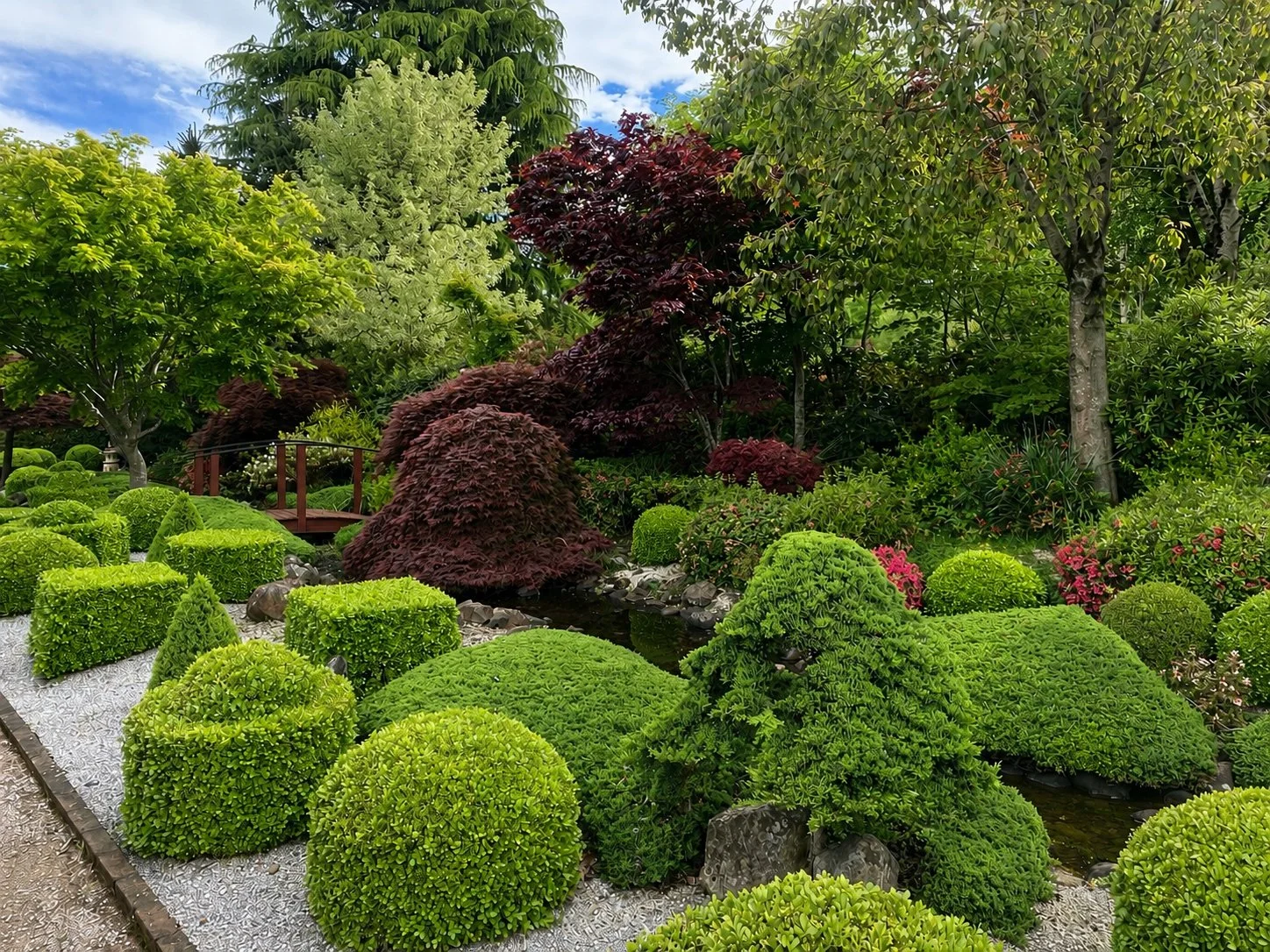 Maintained established garden with clipped topiary and layered planting in the Southern Highlands