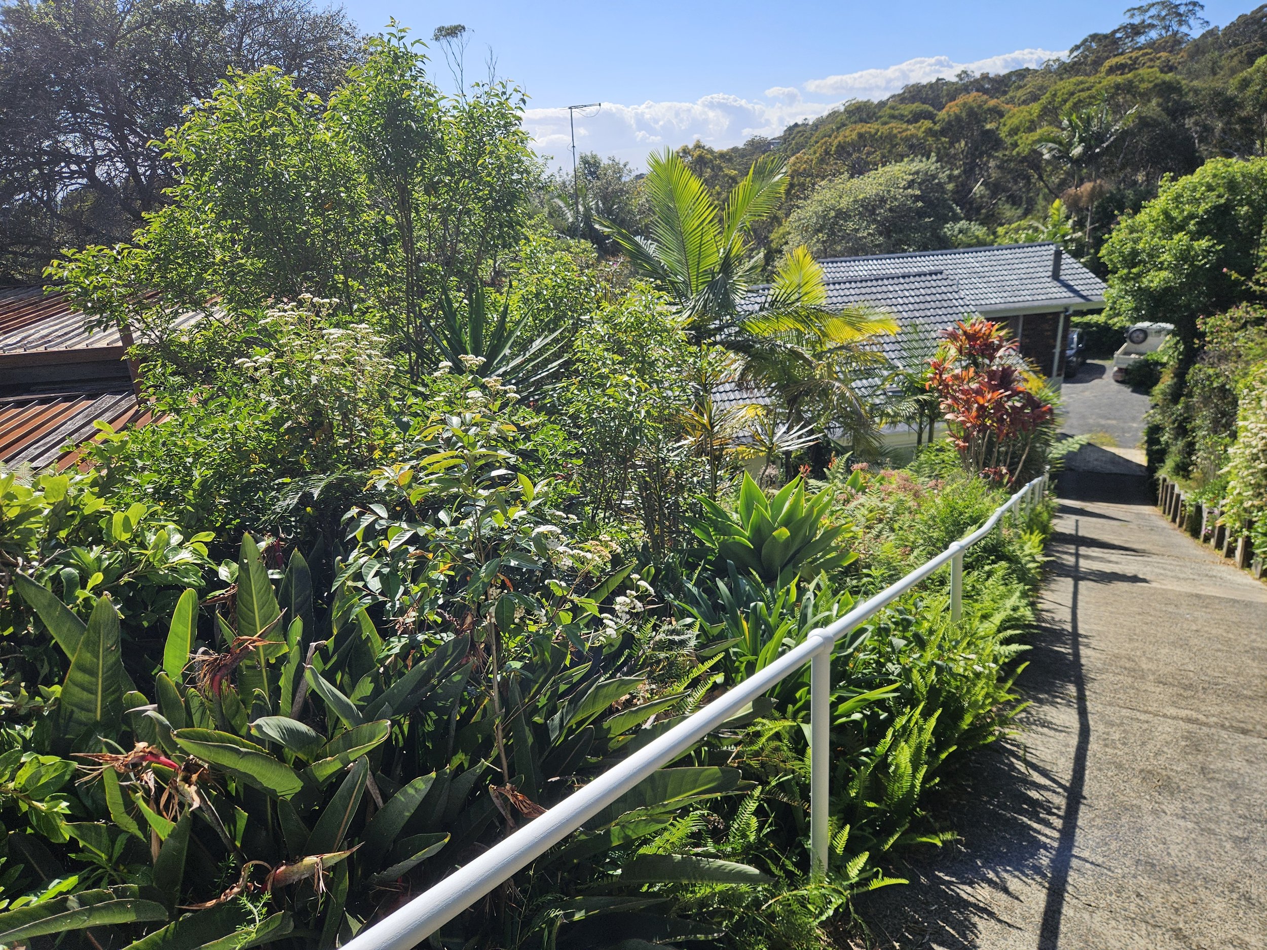 A lush, green garden scene with various tropical plants and trees next to a gravel pathway, a white railing on the right side, and residential houses with tile roofs in the background, under a clear blue sky with some clouds.