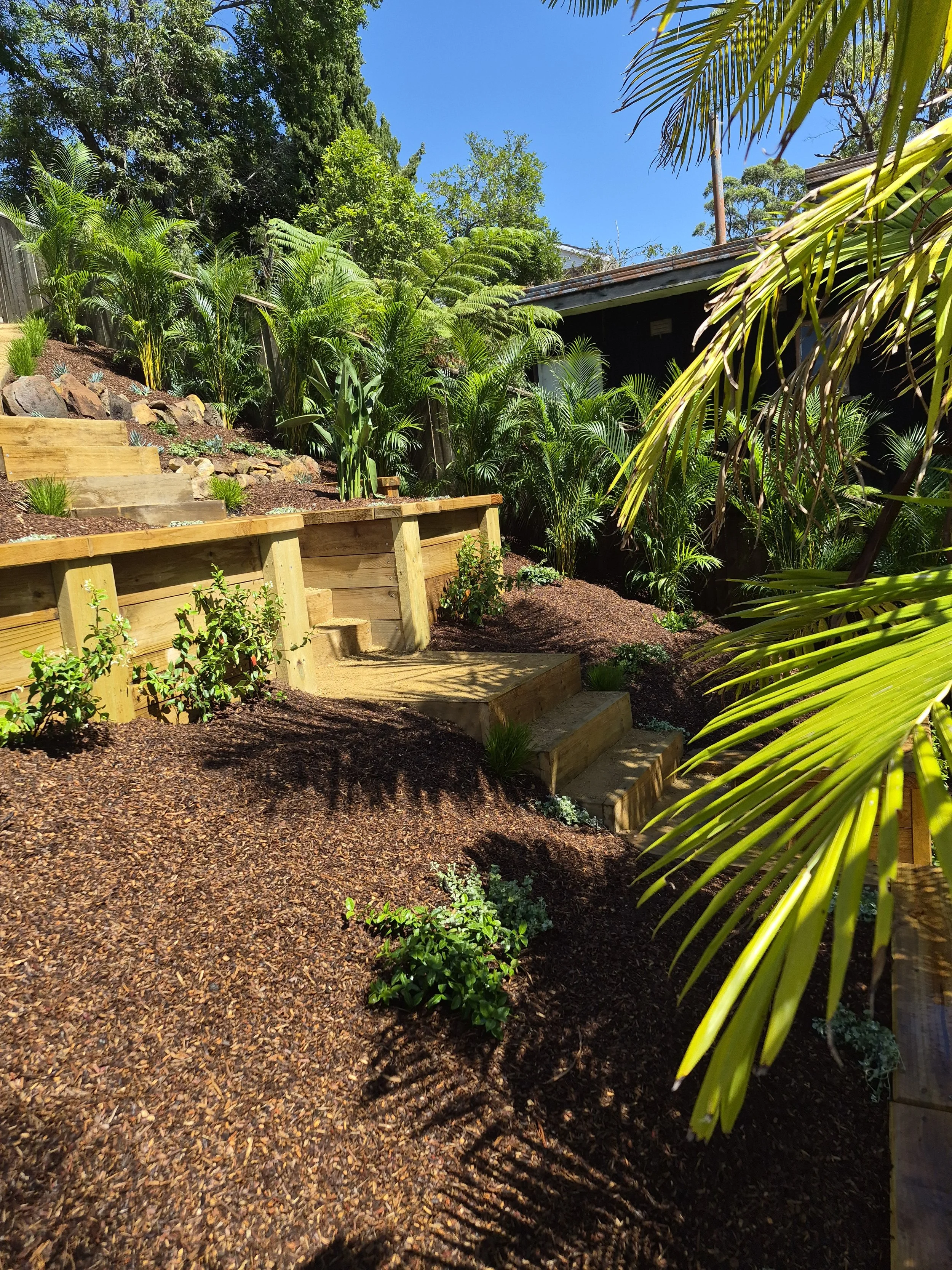 A backyard garden with a wooden staircase and retaining wall, various green plants and trees, a black house with a rusty roof, and blue sky with some clouds.