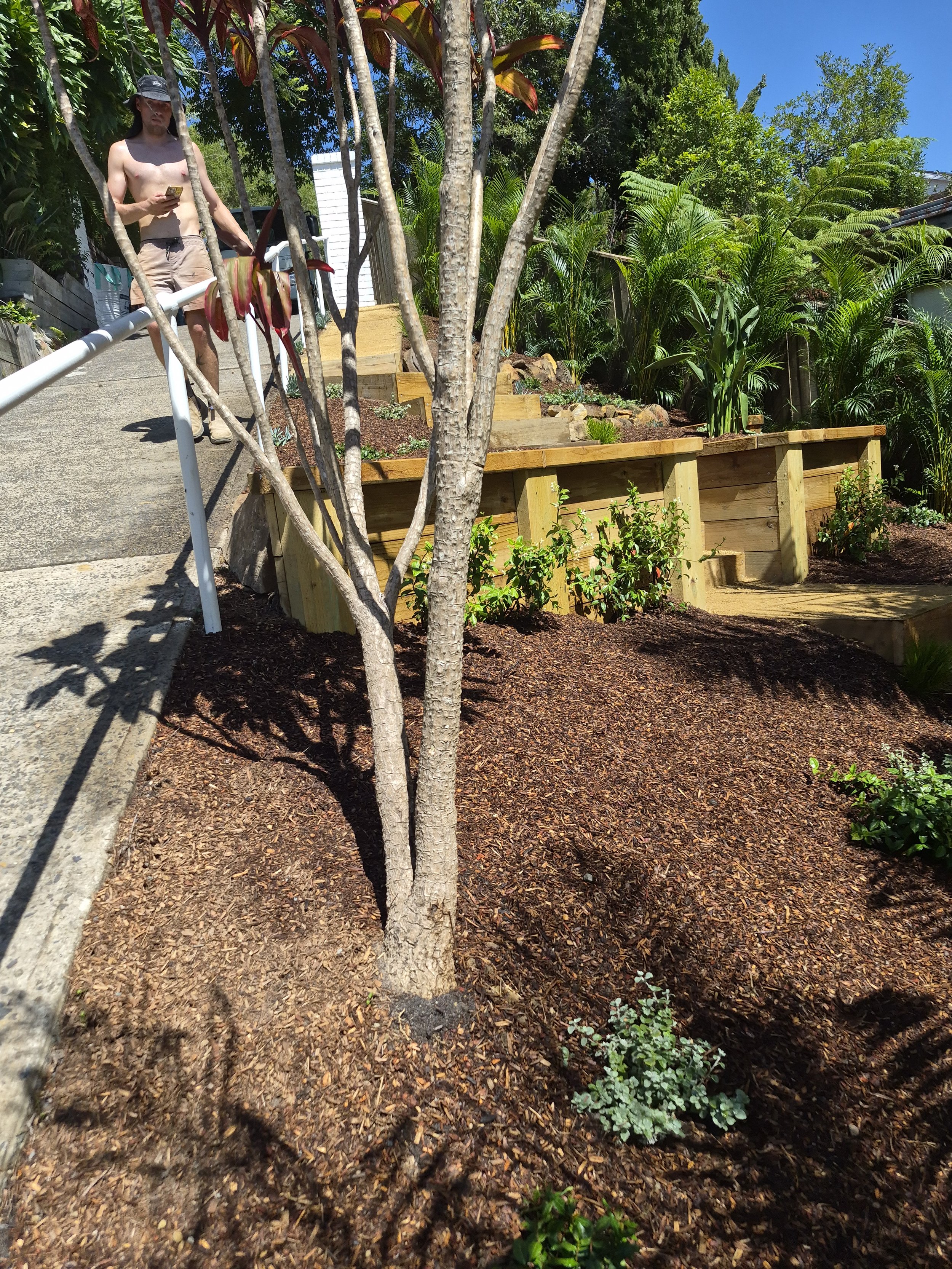 A shirtless man wearing a black cap and beige shorts standing on a paved pathway, looking at his phone, with a lush garden with trees and plants on both sides.