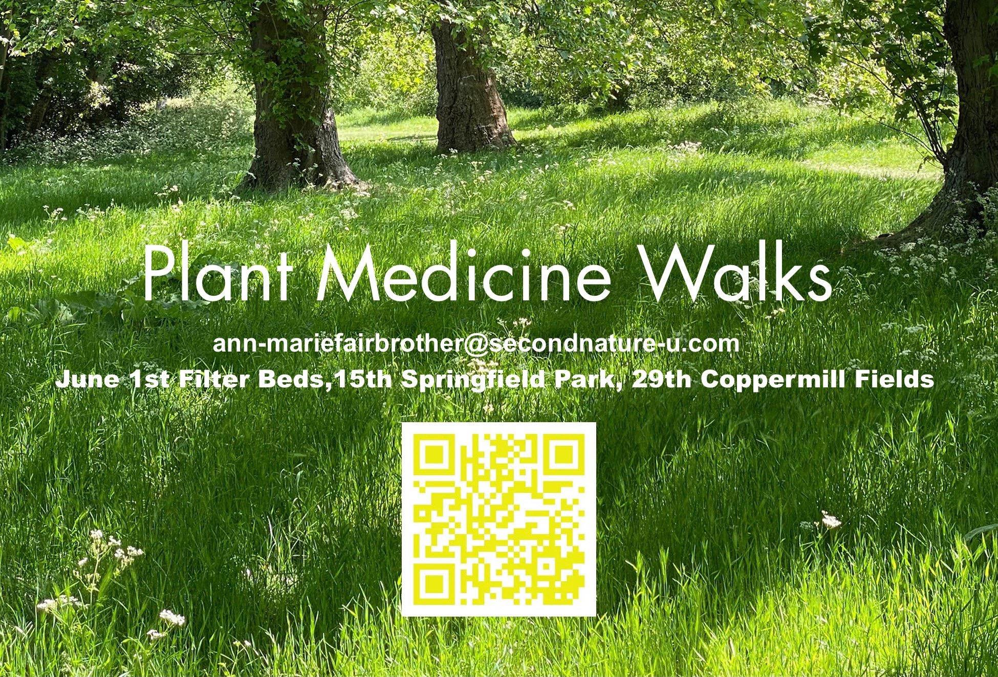 Plant Medicine Walks