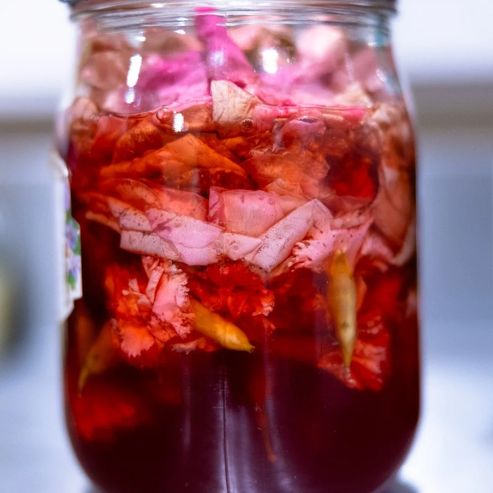 Clove pinks tincture