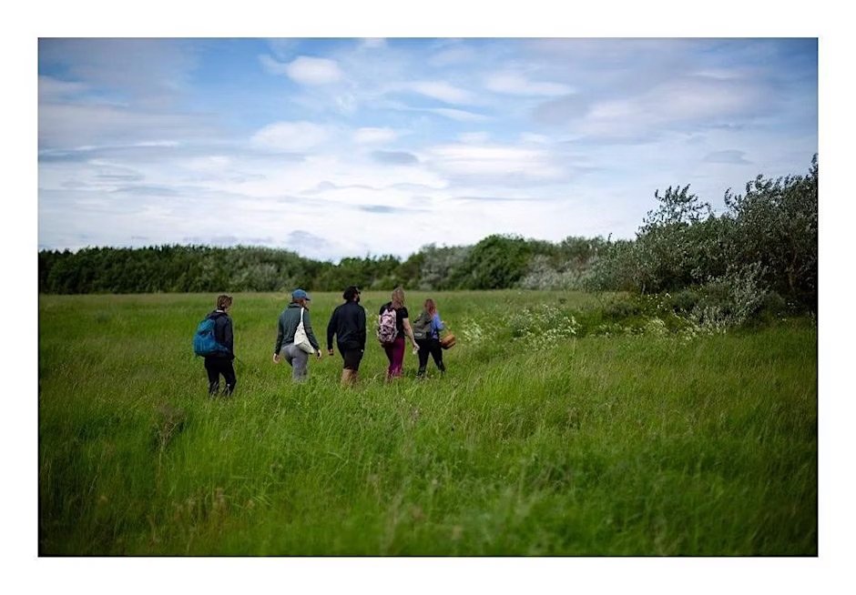 A Scottish Summer's Wild Food & Medicine For All!