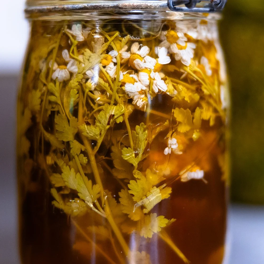 Feverfew tincture