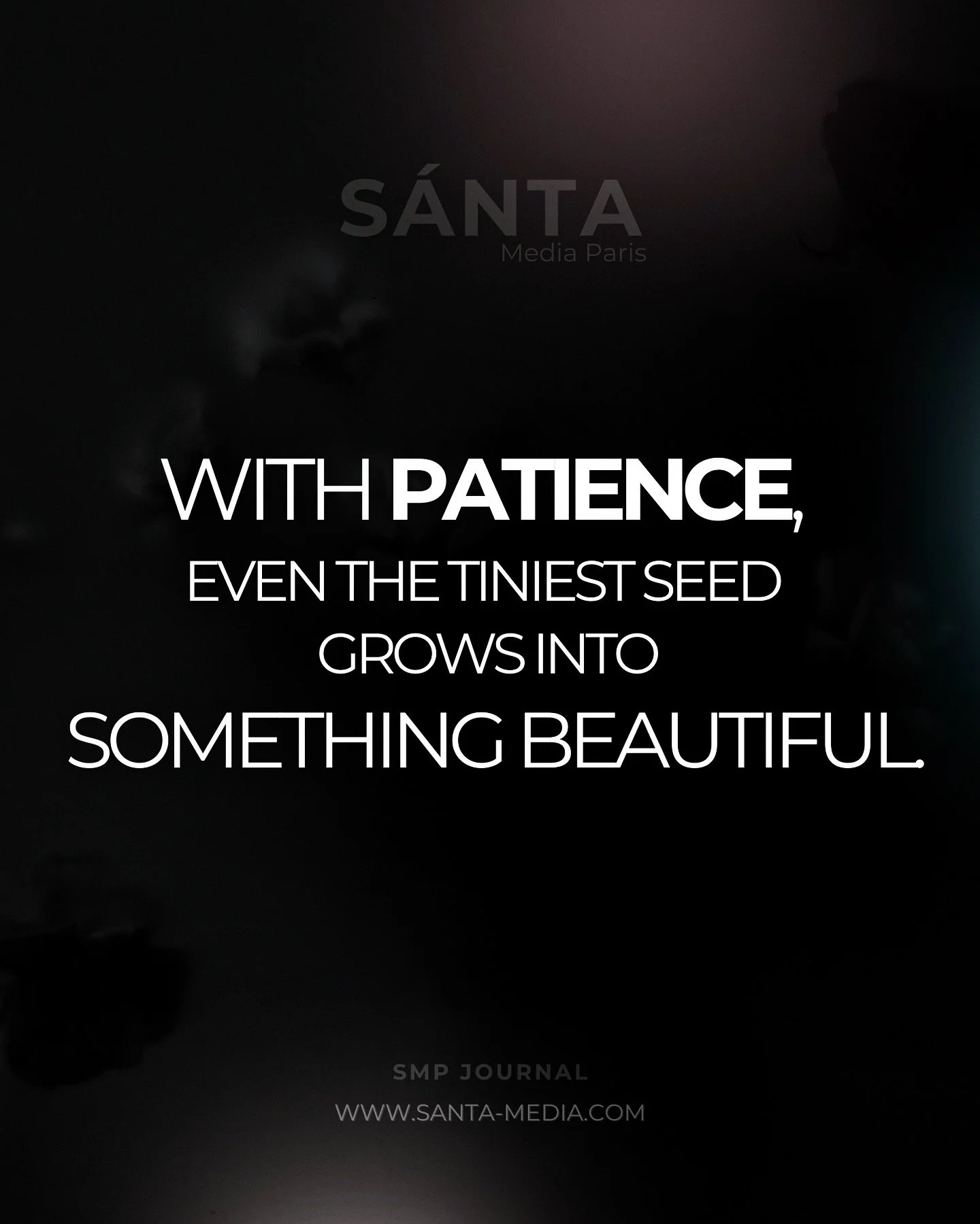 With patience, even the tiniest seed grows into something beautiful.
Life, work, and love take time to bloom. Trust the process, stay patient, and let your efforts unfold naturally.

#patience #growth #bloom #trusttheprocess #smpjournal #reflections 