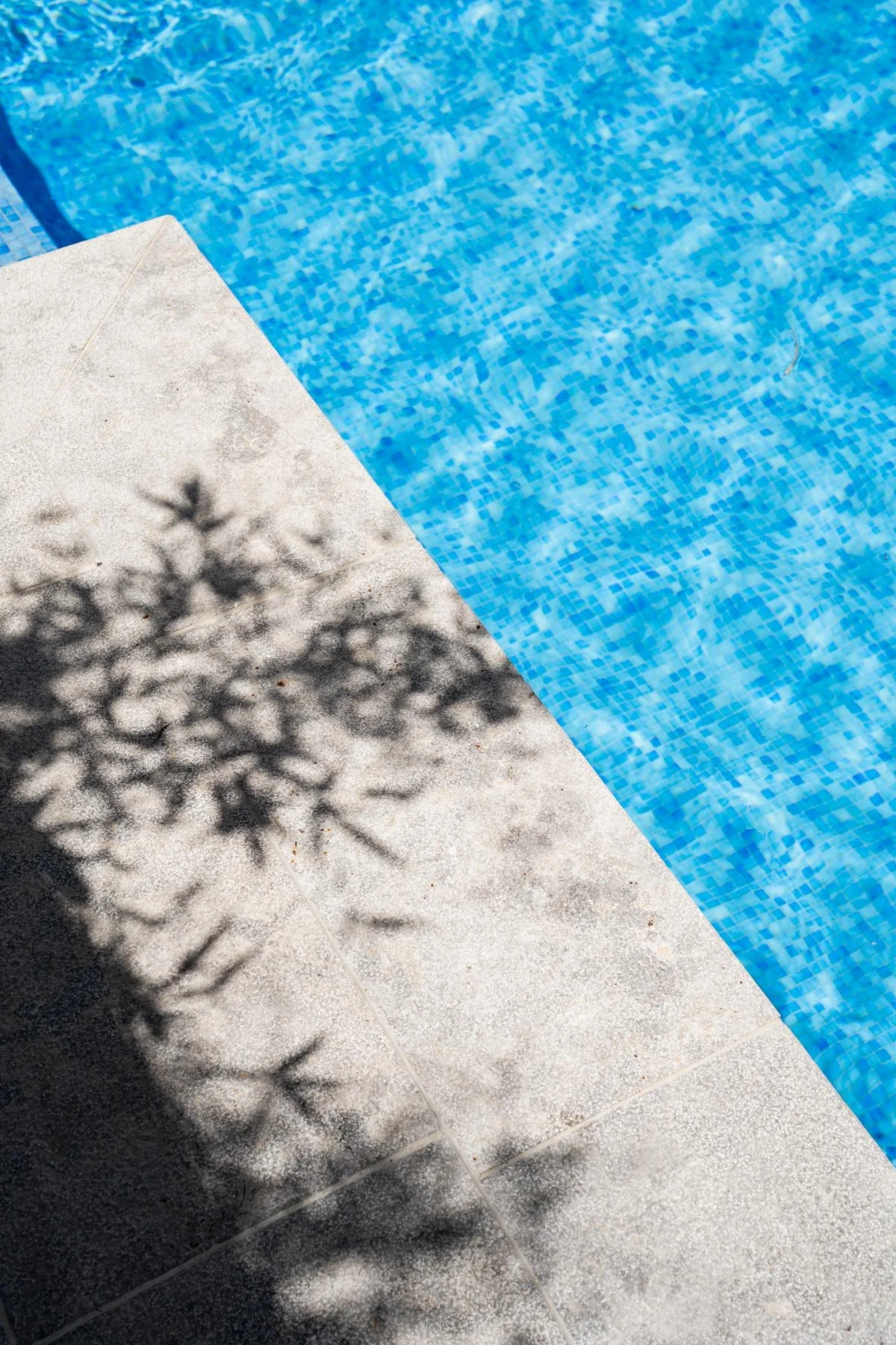 Pool with blue mosaic tiles next to light-colored concrete poolside with shadow of plant leaves