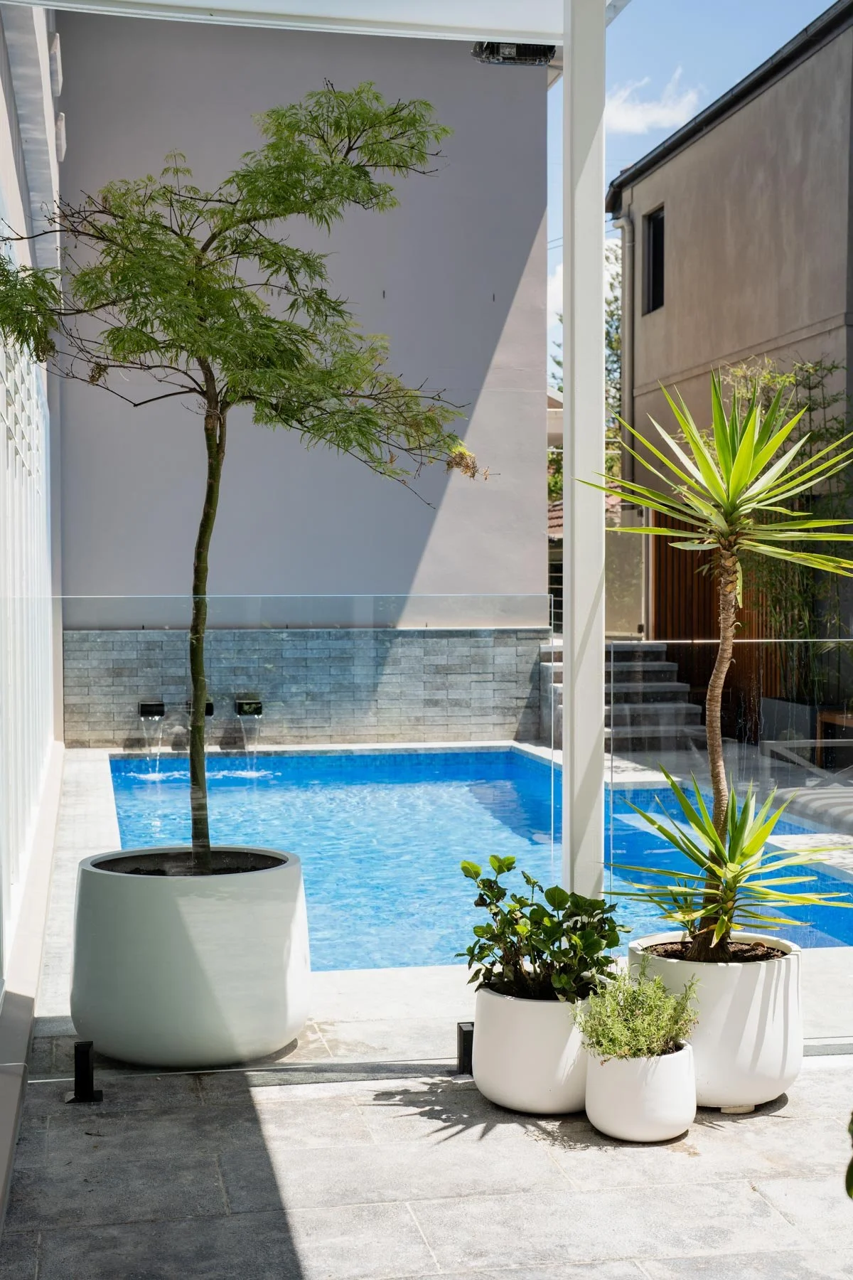 A small backyard pool with modern white planters containing green trees and plants, surrounded by a minimalist outdoor space with a gray wall and nearby neighboring buildings.