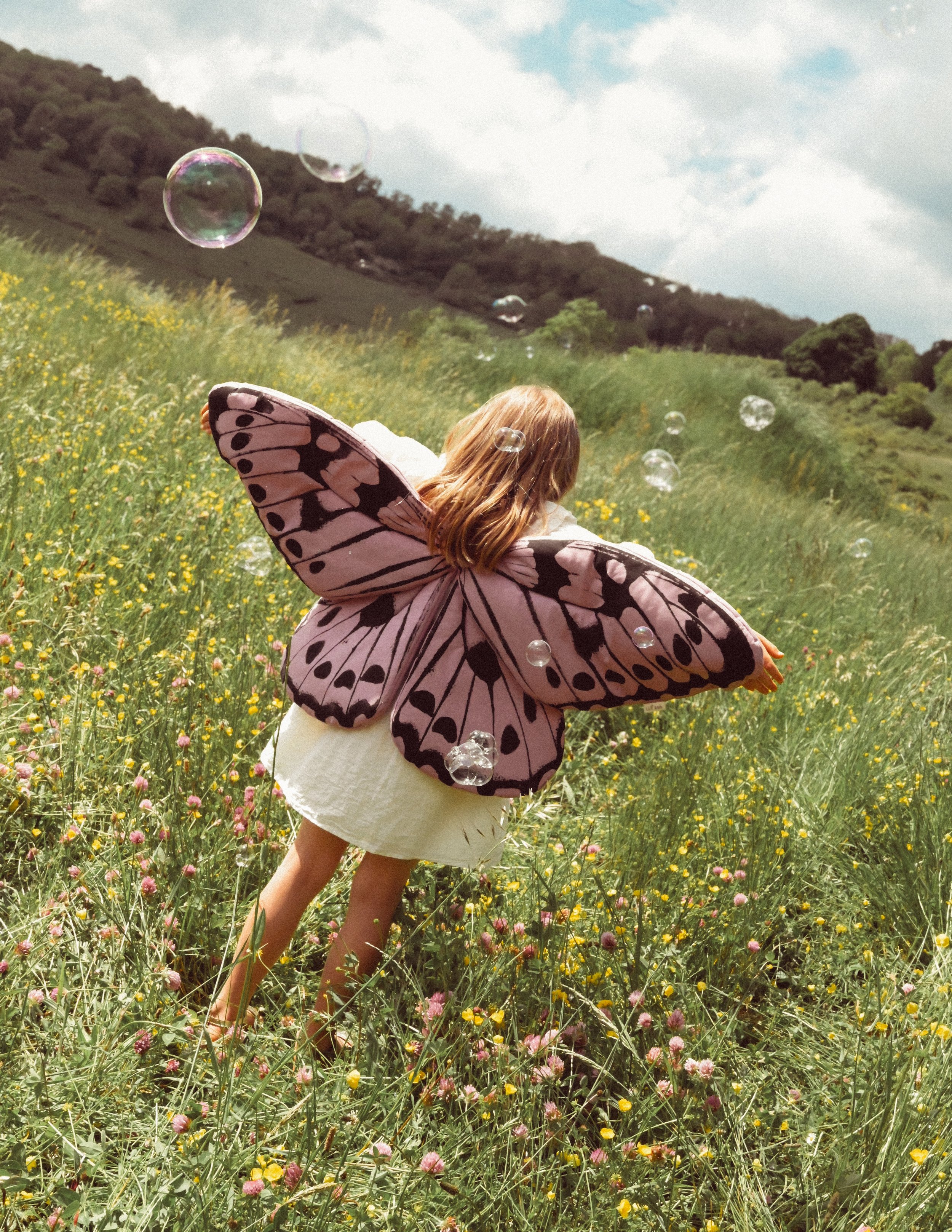 Butterfly Wings, Vintage Rose