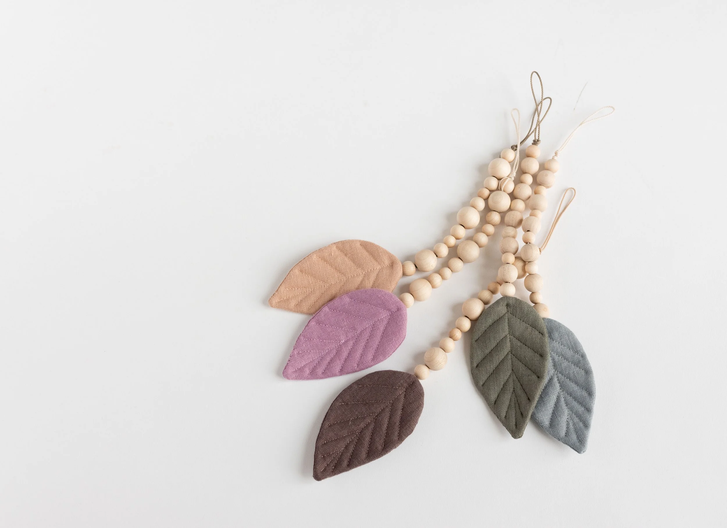 Beech Leaf, Baltic Forest