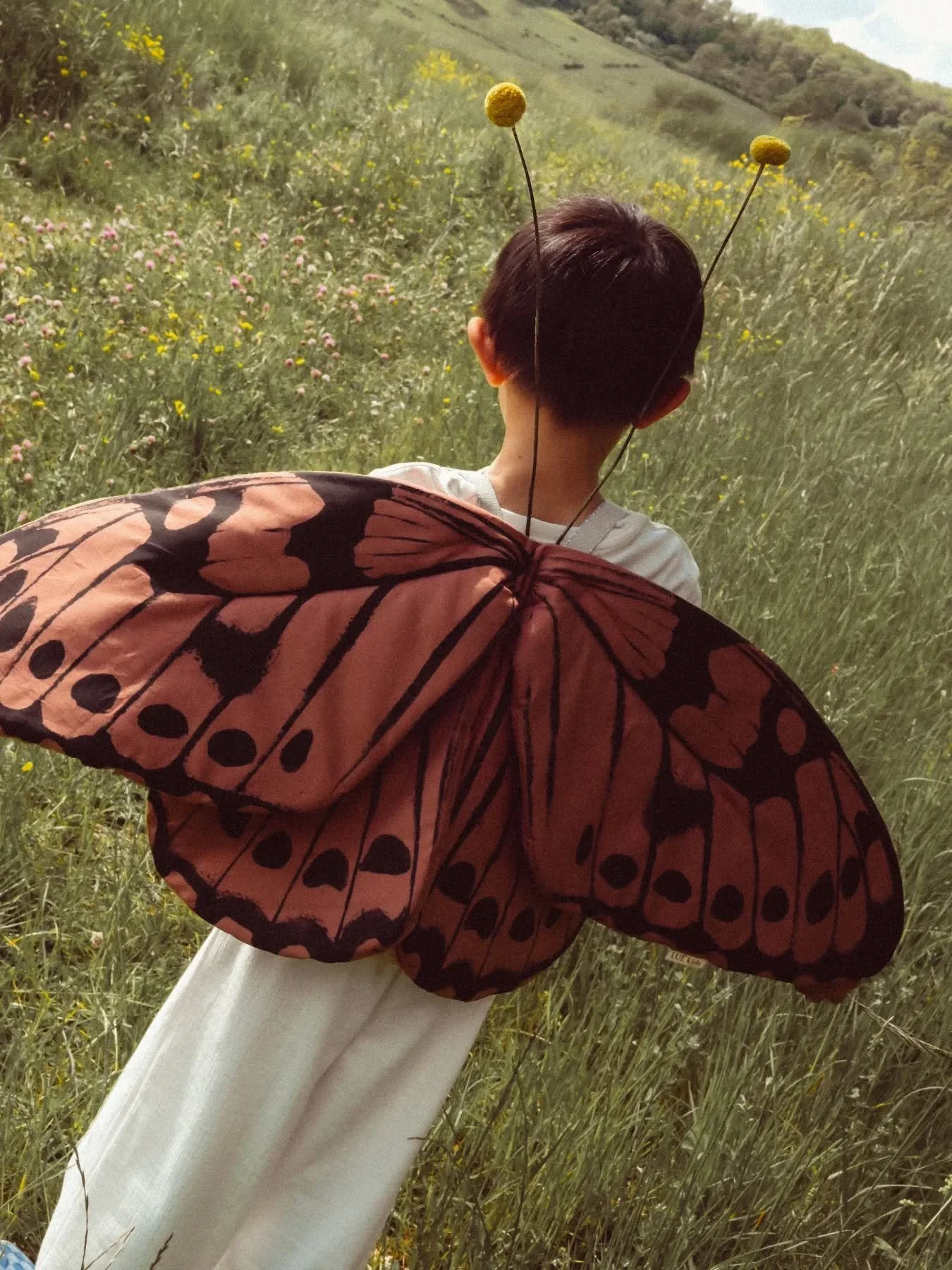 Welcome to the World of Lu&egrave;!&nbsp;

A place where imagination knows no bounds and creativity comes alive. Our wings and masks inspire little ones to dream big and be themselves.&nbsp;

What would you become if you could be anything?